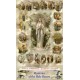 Mysteries of the Most Holy Rosary Holy Card